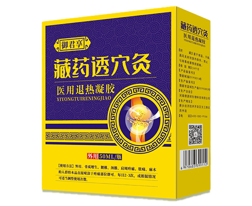 藏药透穴灸